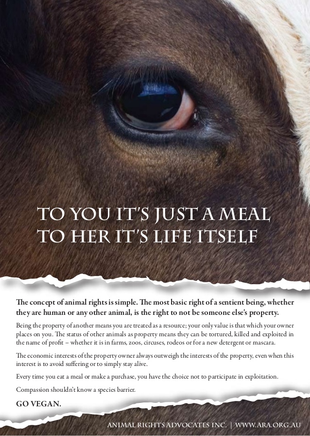 Animal Rights From ARA Life Itself