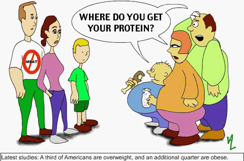 Overweight carnists asking about protein